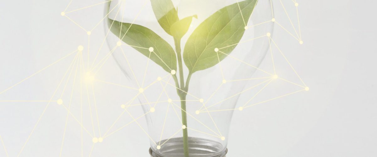 Sinergía Energética